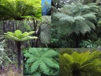 Albums/20060200-New Zealand 2006/20060318-Kaikiura/90